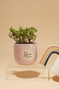 Design Shop Light-Pink Peace and Love Pot, 4" X 3.5", Set of 2.