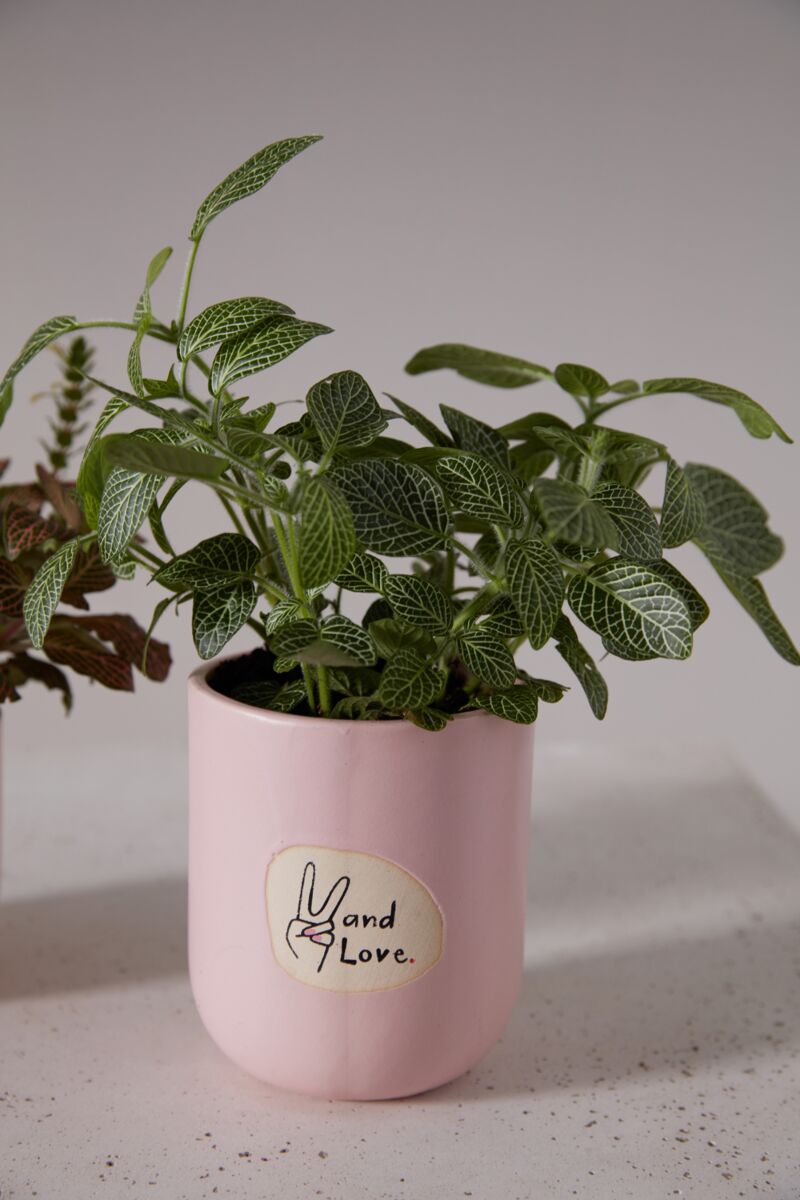 Design Shop Light-Pink Peace and Love Pot, 4" X 4.75", Set of 2.