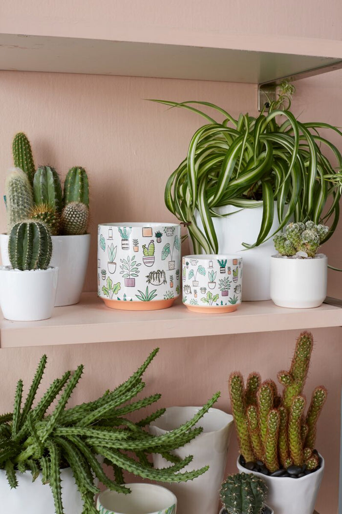 Design Shop Multicolor Plant Icon Pot, 3.25" X 2.75", Set of 2.