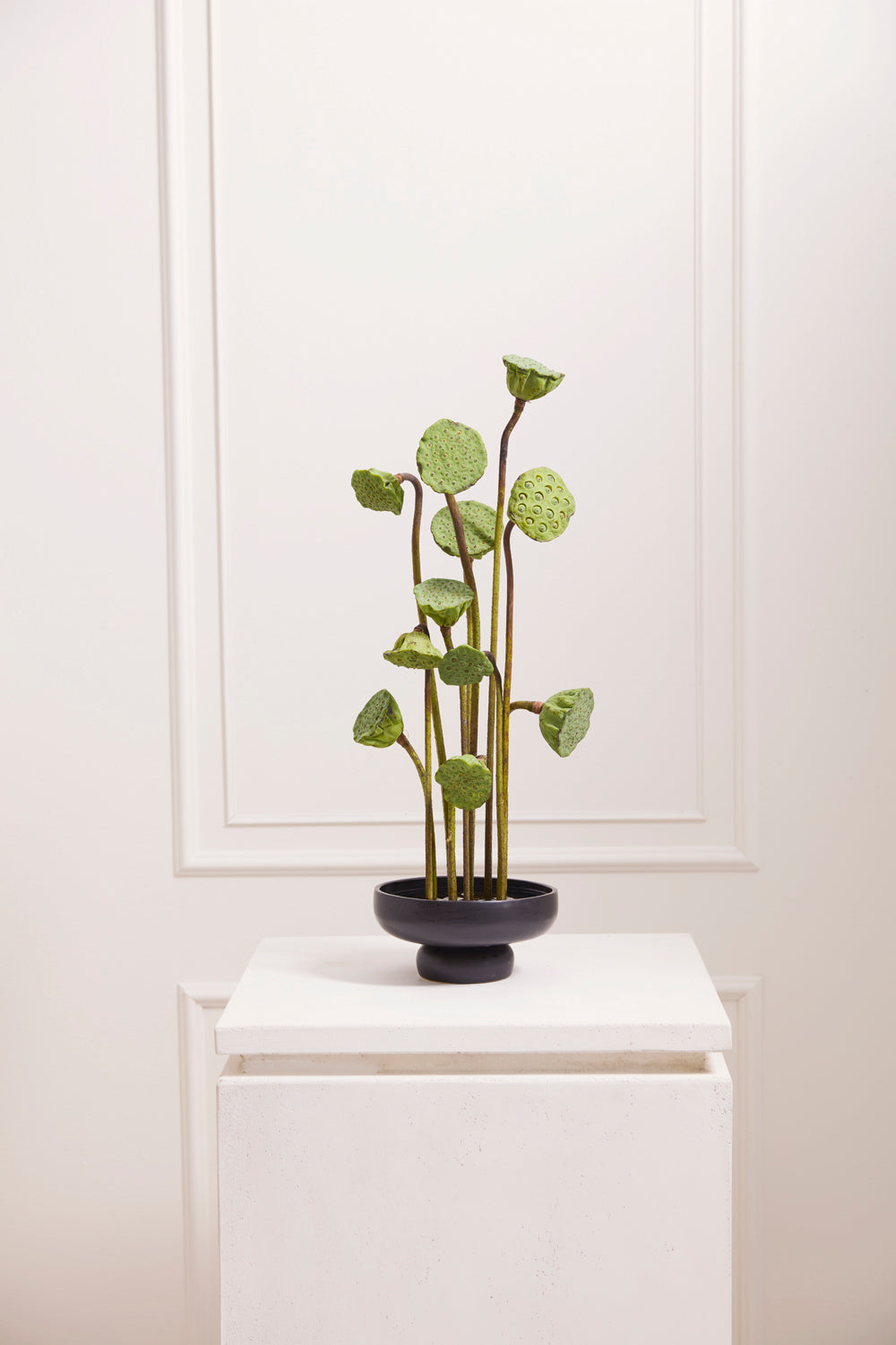 Design Shop Nightingale Compote 7.75"x 3.75", Set of 2