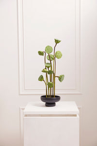 Design Shop Nightingale Compote 7.75"x 3.75", Set of 2