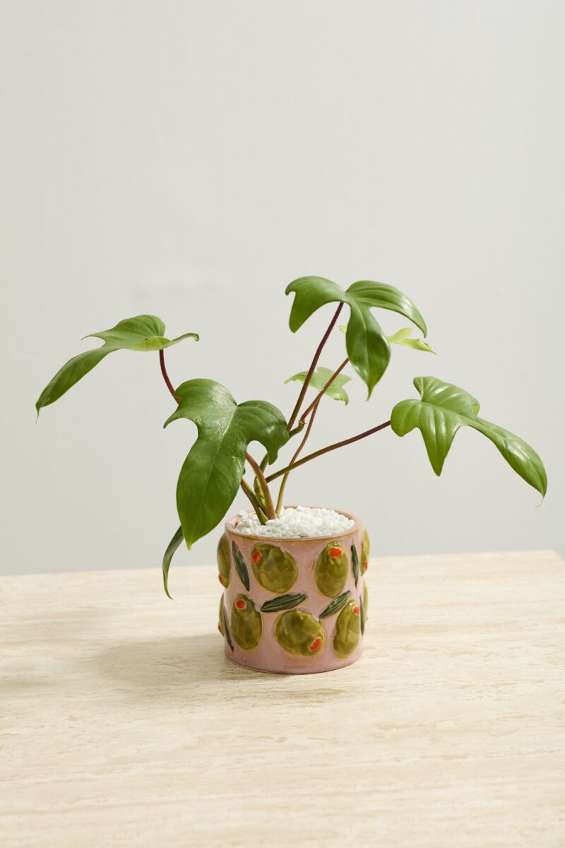 Design Shop Cucina Pot 5.25"x 4.5", Set of 2