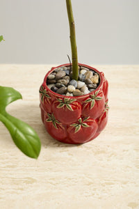 Design Shop Cucina Pot 5.5"x 4.5", Set of 2
