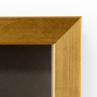 Chelsea House Small Intaglio Shadowbox I