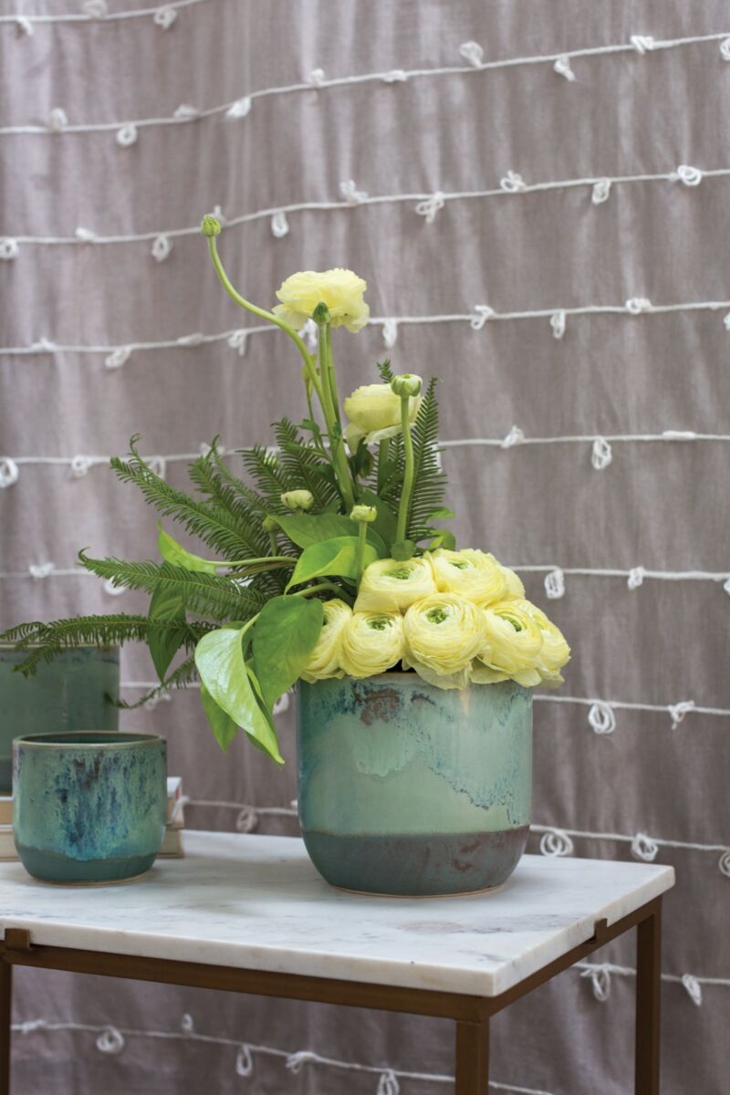 Design Shop Green Caribe Pot, 6.75" X 6"