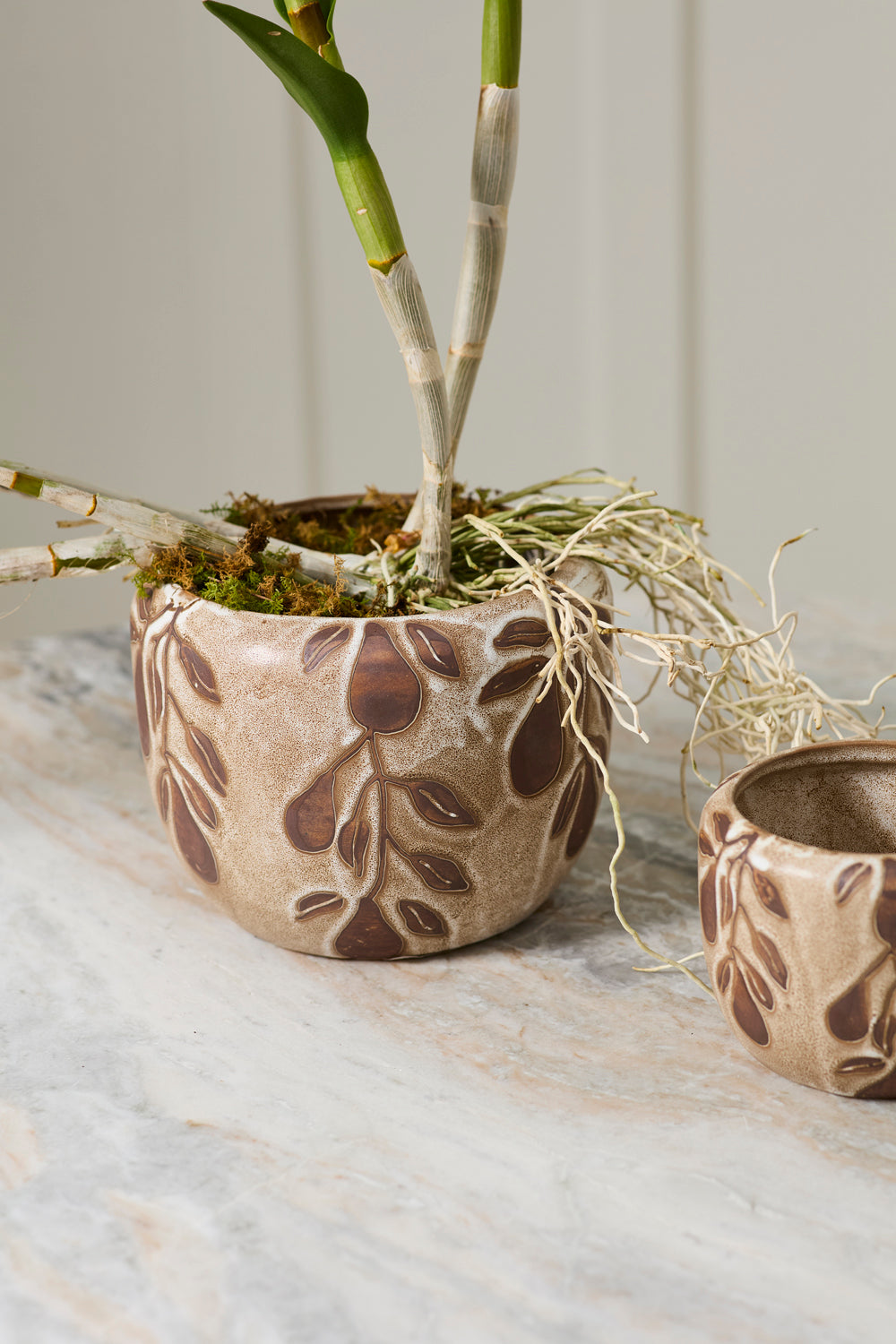 Design Shop Autumn Pear Pot 8.5"x 6"
