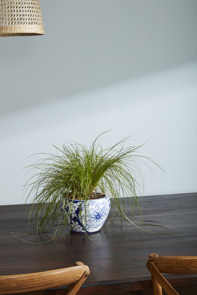Design Shop Blue Elodie Collection Vase, 8.25" X 6"