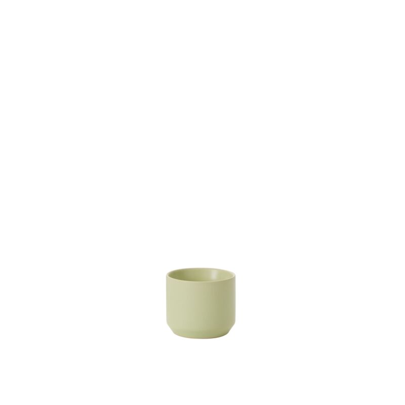 Design Shop Spring Kendall Pot 3.25"x 2.75", Set of 6