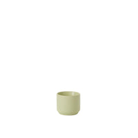 Design Shop Spring Kendall Pot 3.25"x 2.75", Set of 6
