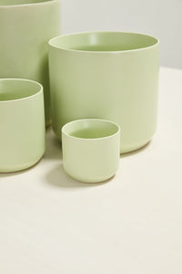 Design Shop Spring Kendall Pot 3.25"x 2.75", Set of 6