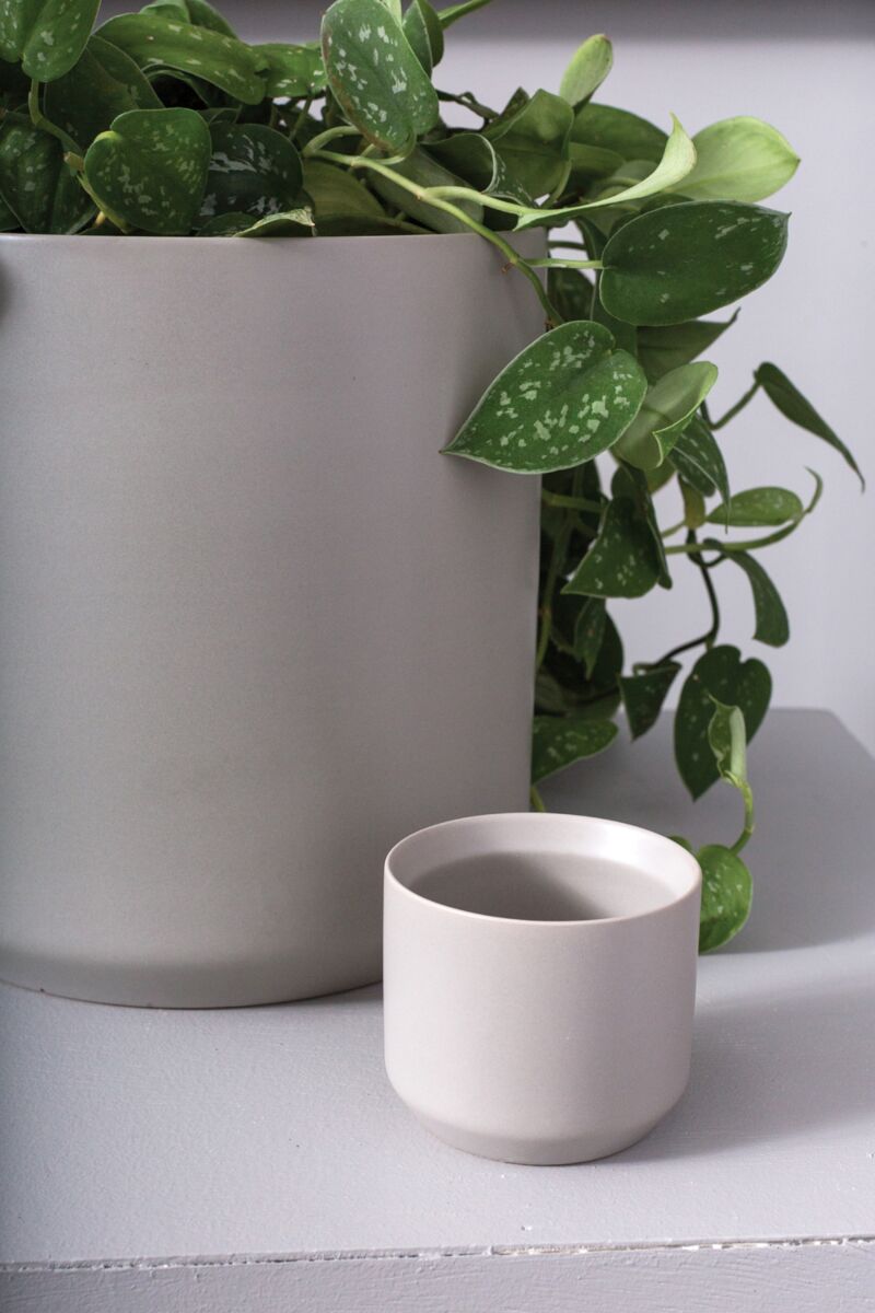 Design Shop Kendall Pot 3.25"x 2.75", Set of 6