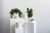 Design Shop Kendall Pot 4.75"x 4.5", Set of 4