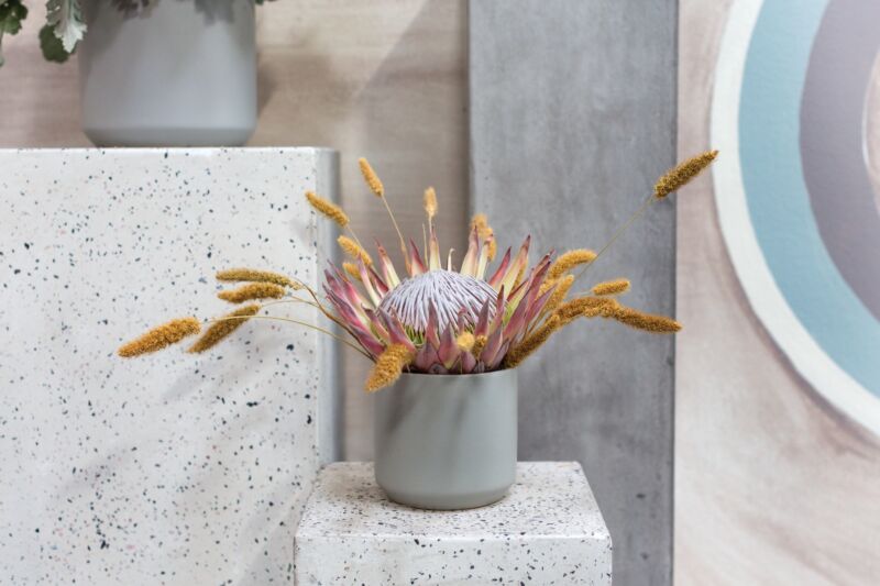Design Shop Kendall Pot 4.75"x 4.5", Set of 4
