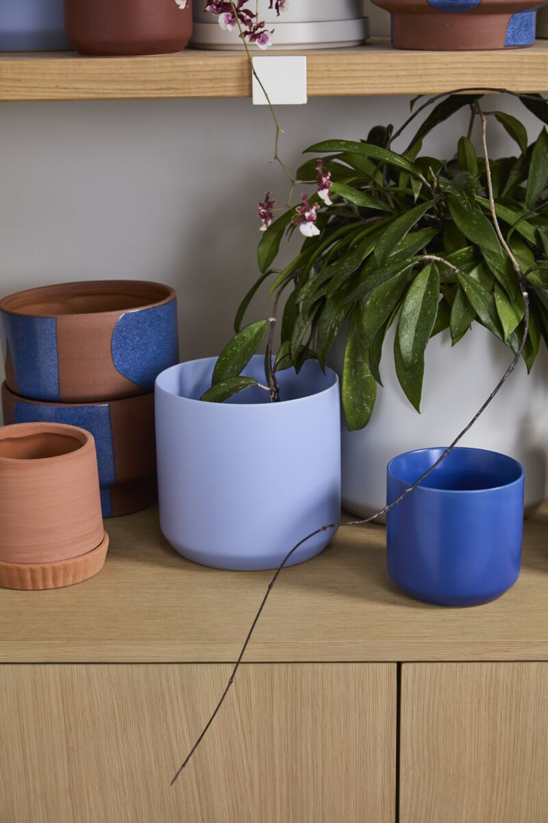 Design Shop Spring Kendall Pot 7"x 6.75"