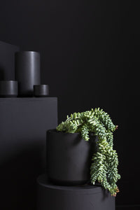 Design Shop Kendall Pot 7"x 6.75"