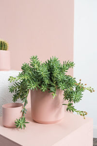 Design Shop Kendall Pot 8.5"x 9"