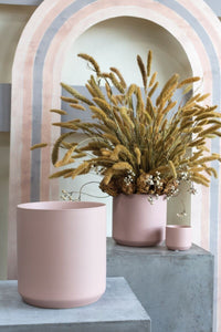 Design Shop Kendall Pot 8.5"x 9"