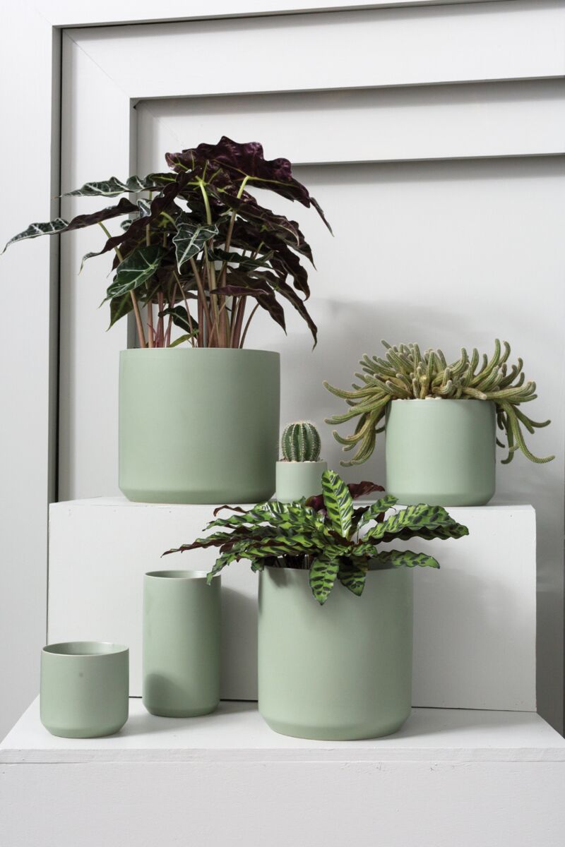 Design Shop Green Kendall Pot, 10.75" X 10"