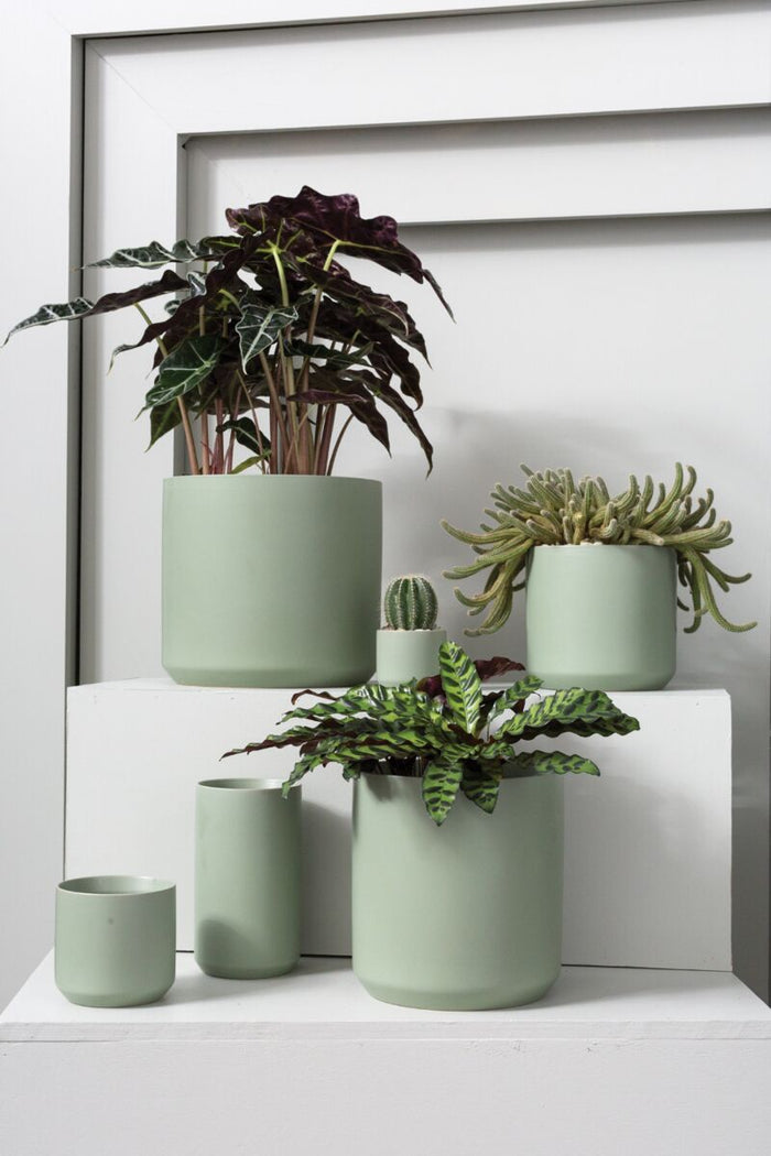 Design Shop Green Kendall Pot, 10.75" X 10"