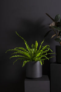 Design Shop Kendall Pot 10.75"x 10"