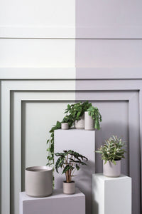 Design Shop Kendall Pot 10.75"x 10"