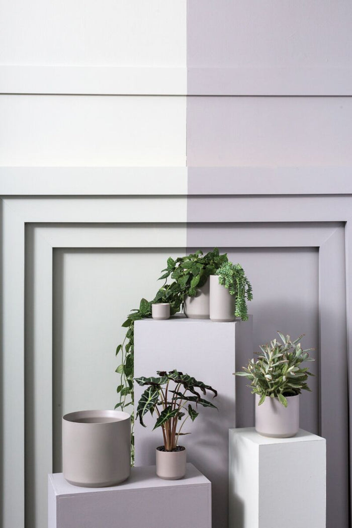 Design Shop Kendall Pot 10.75"x 10"
