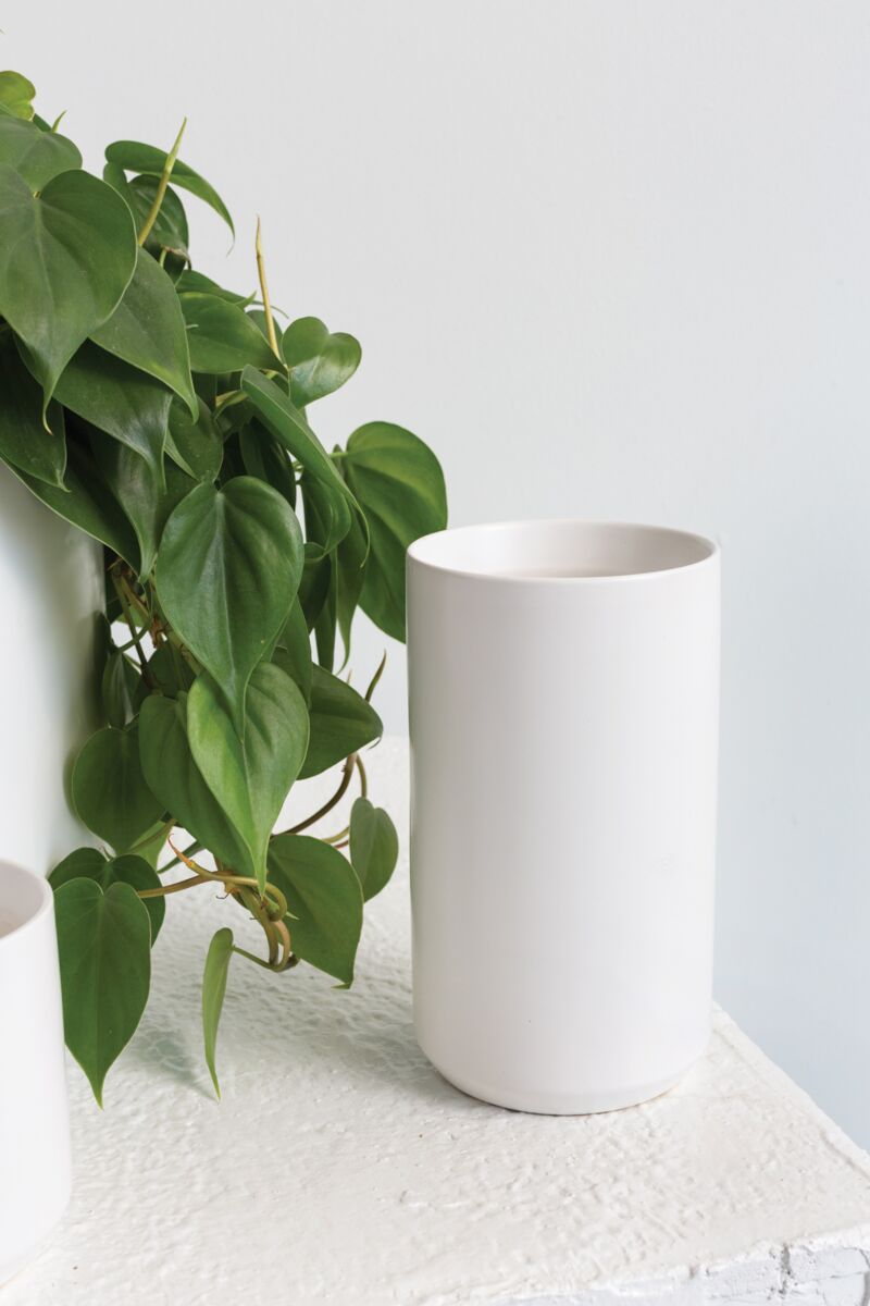 Design Shop White Kendall Vase, 4.5" X 8", Set of 2.