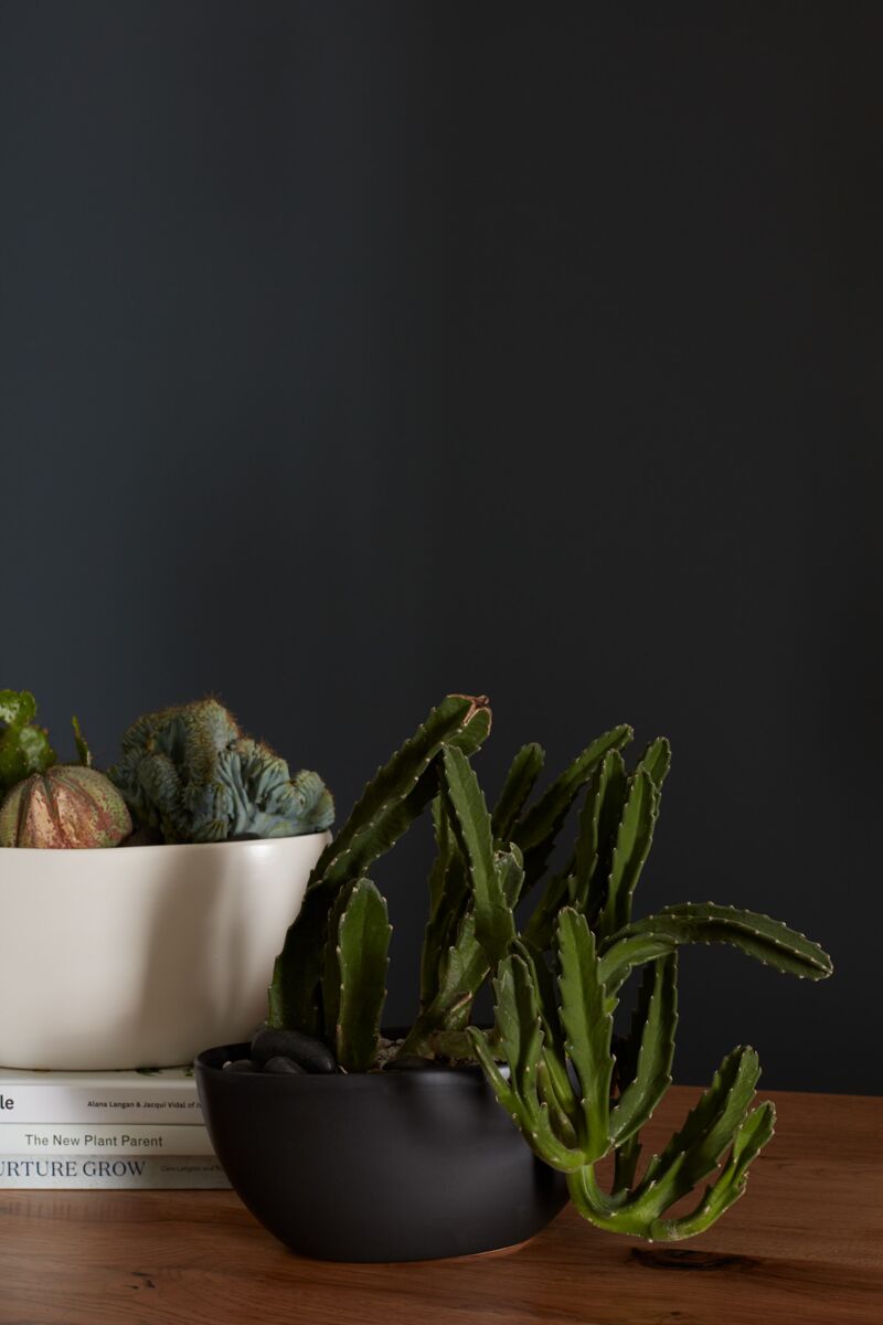 Design Shop Black Metta Boat, 8.75" X 4", Set of 2.