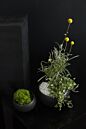 Design Shop Simply Angled Bowl 5.25"x 3.5", Set of 4