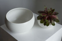 Design Shop White Simply Collection Low Bowl, 10.5" X 3.75".