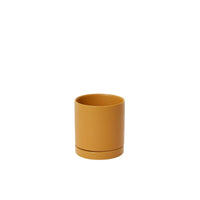 Design Shop Romey Pot with Saucer 4.25"x 4.75"