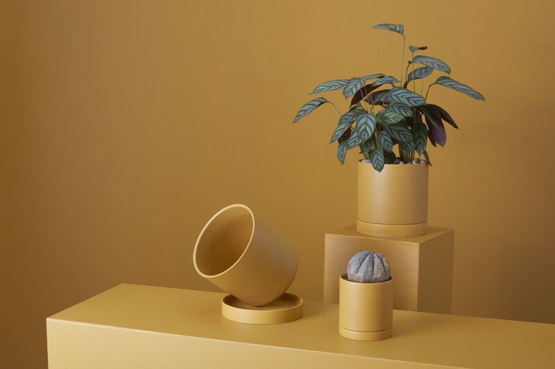 Design Shop Romey Pot with Saucer 4.25"x 4.75"