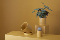 Design Shop Romey Pot with Saucer 4.25"x 4.75"