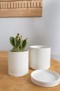 Design Shop Romey Pot with Saucer 5"x 5.75"