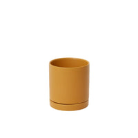 Design Shop Romey Pot with Saucer 5"x 5.75"