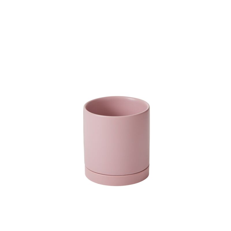 Design Shop Romey Pot with Saucer 5"x 5.75"
