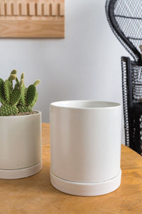 Design Shop Romey Pot with Saucer 7"x 7"