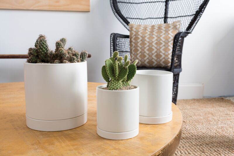 Design Shop Romey Pot with Saucer 7"x 7"