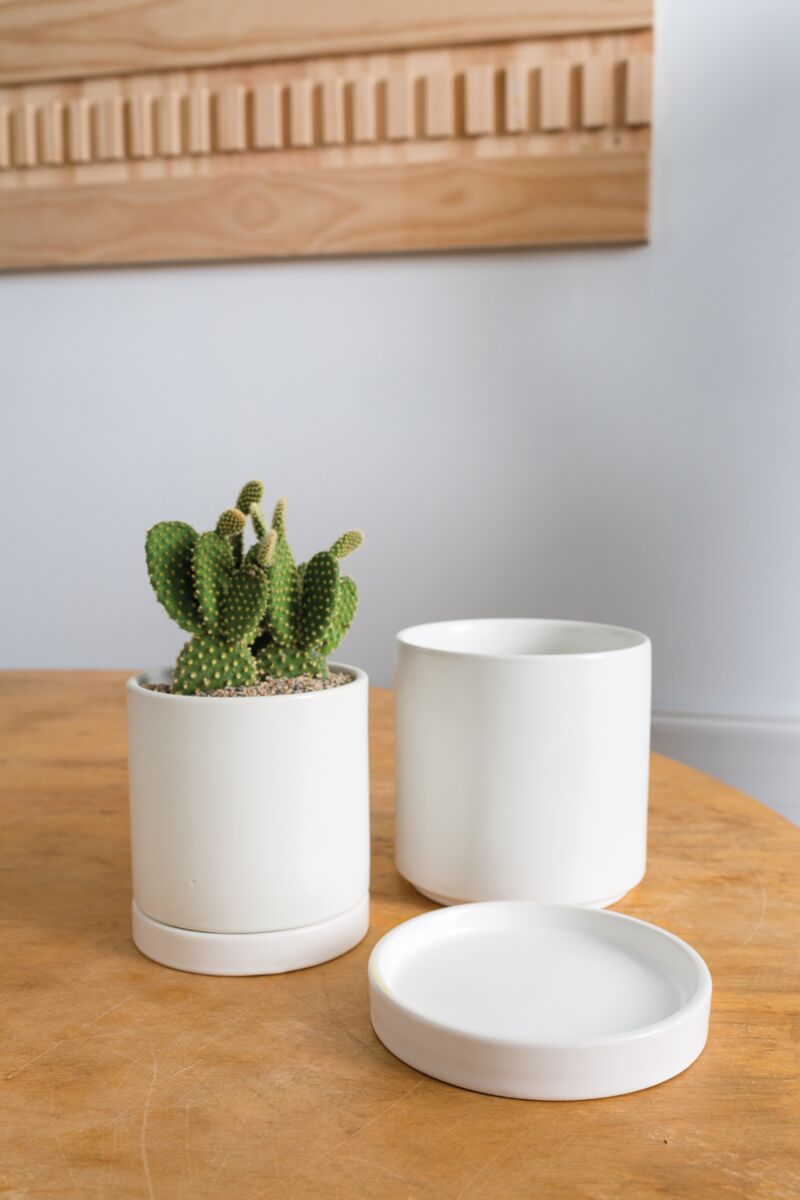 Design Shop Romey Pot with Saucer 7"x 7"