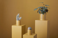 Romey Pot 7"