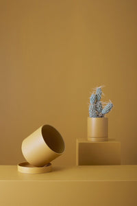 Romey Pot 7"