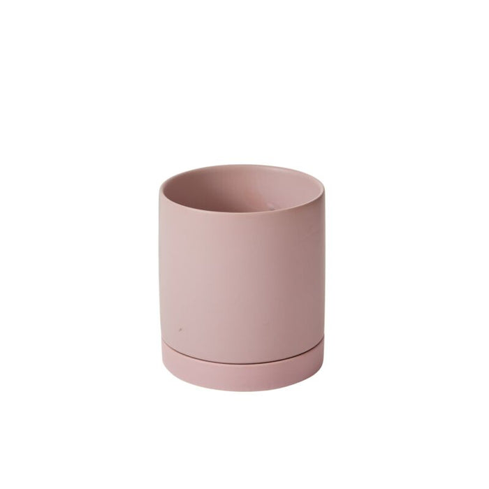 Design Shop Romey Pot with Saucer 7"x 7"