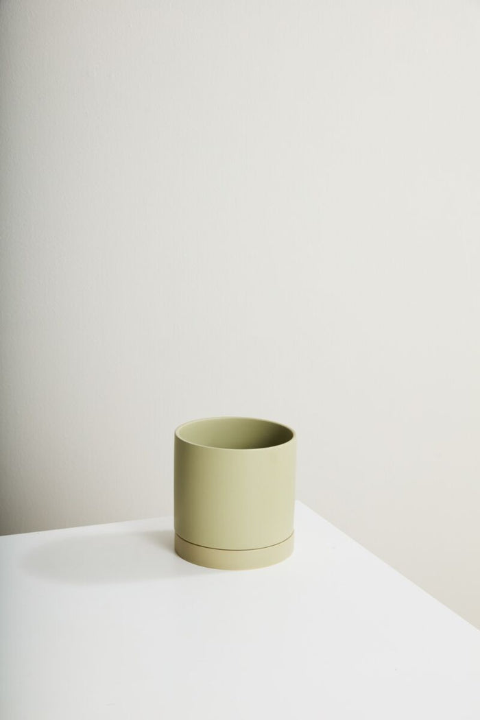 Design Shop Romey Neutral Pot with Saucer 7"x 7"