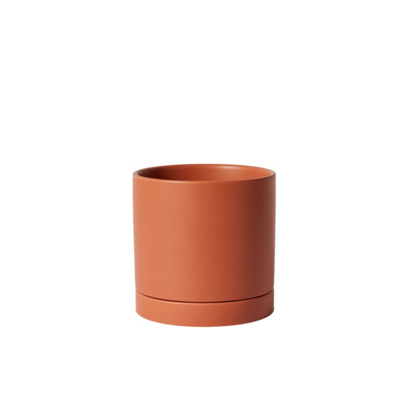 Design Shop Romey Pot with Saucer 7"x 7"