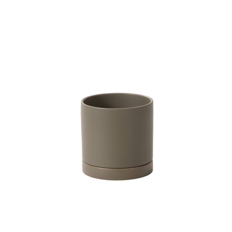 Design Shop Romey Neutral Pot with Saucer 7"x 7"