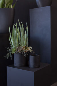 Design Shop Romey Pot with Saucer 7"x 7"