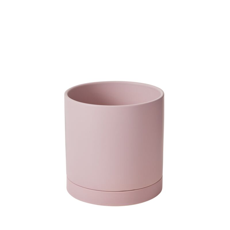Design Shop Romey Pot with Saucer 8"x 8"