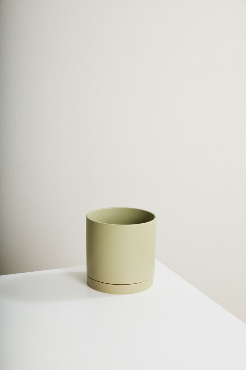 Design Shop Romey Neutral Pot with Saucer 8"x 8"