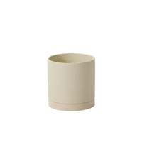 Design Shop Romey Neutral Pot with Saucer 8"x 8"