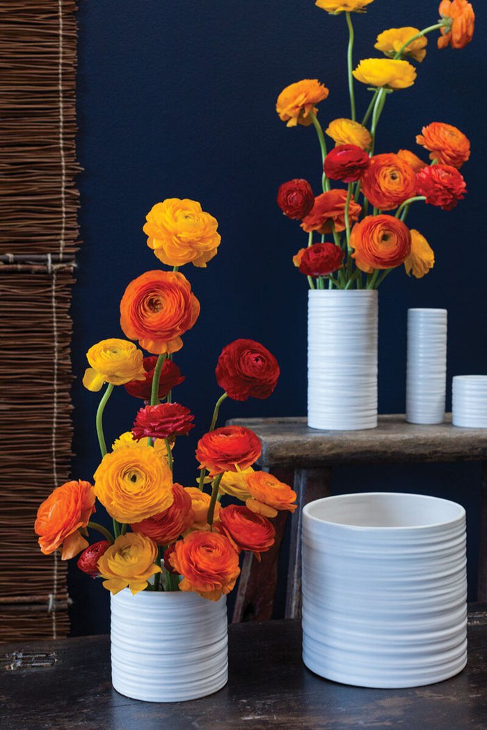 White vases with orange and red flowers against a dark blue wall.